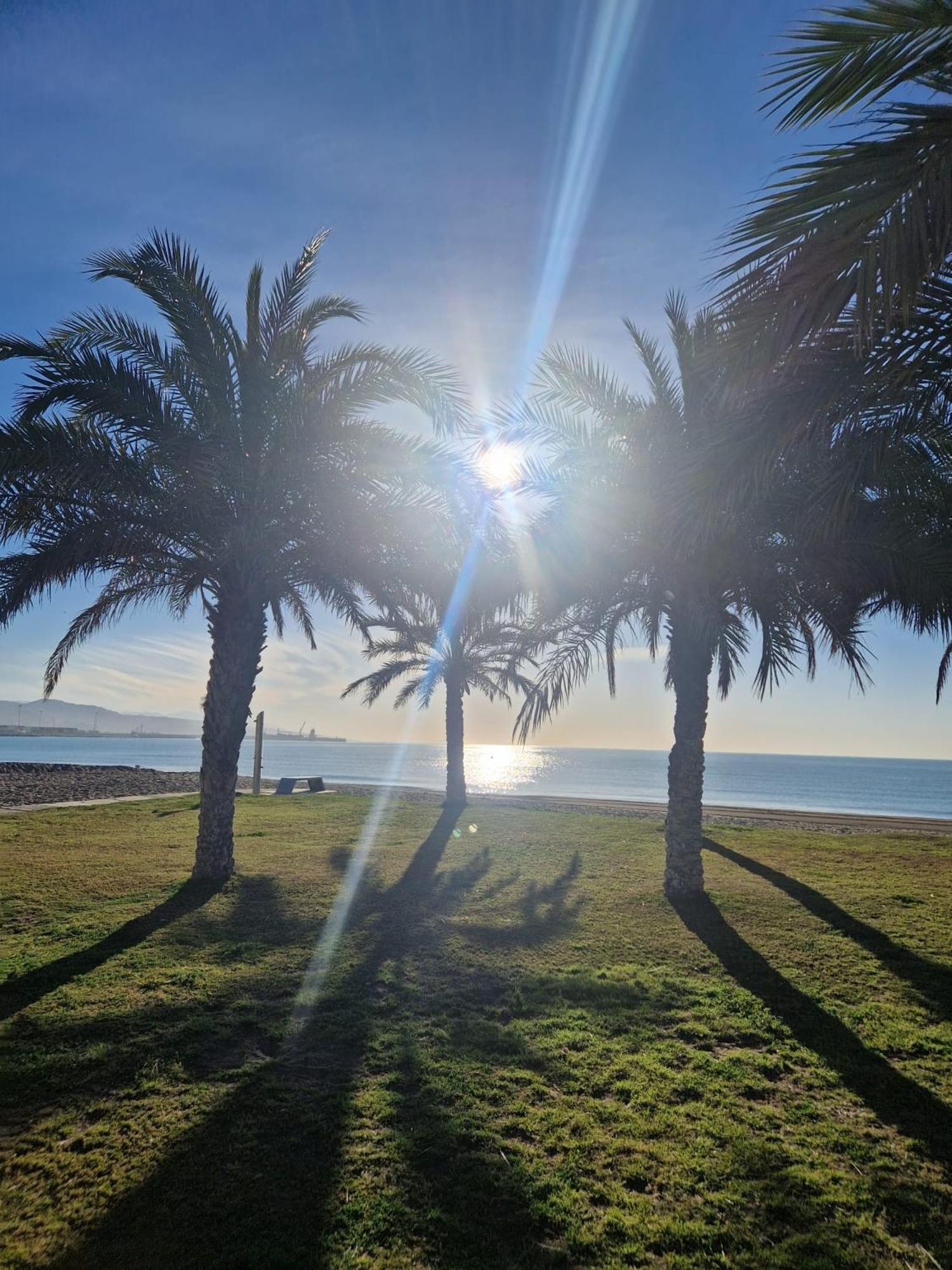 La Maison Del Mar Guest House Málaga Eksteriør billede